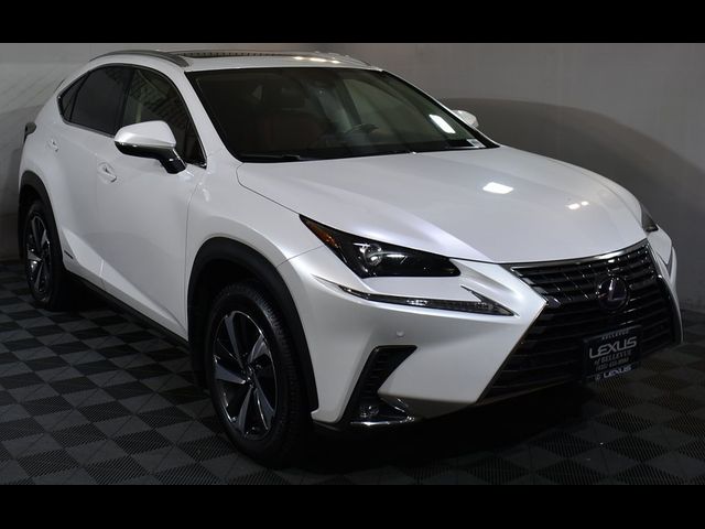 2021 Lexus NX 300h