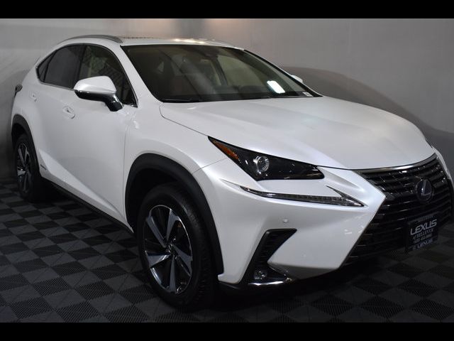 2021 Lexus NX 300h