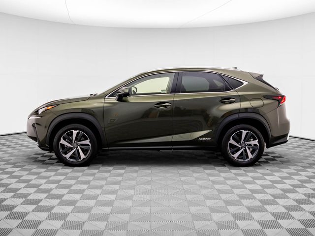 2021 Lexus NX 300h