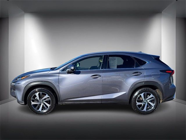 2021 Lexus NX 300h