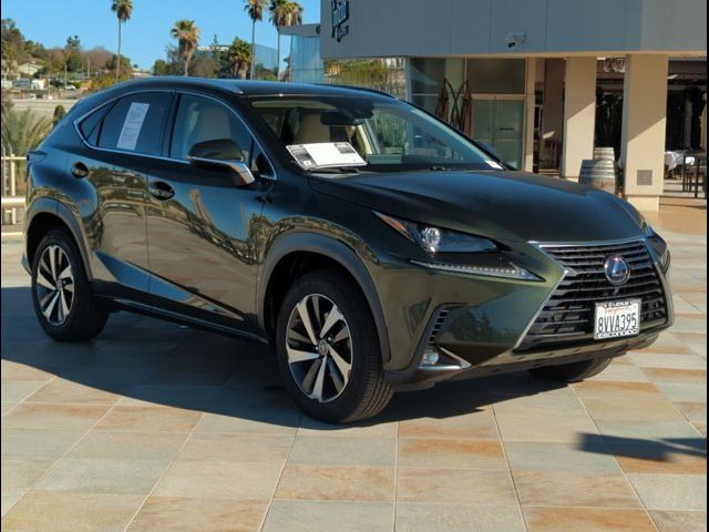 2021 Lexus NX 300h