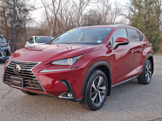 2021 Lexus NX 300h