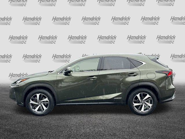 2021 Lexus NX 300h