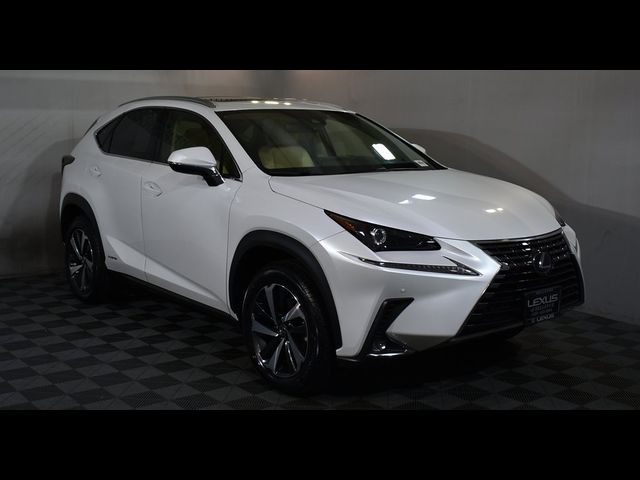 2021 Lexus NX 300h