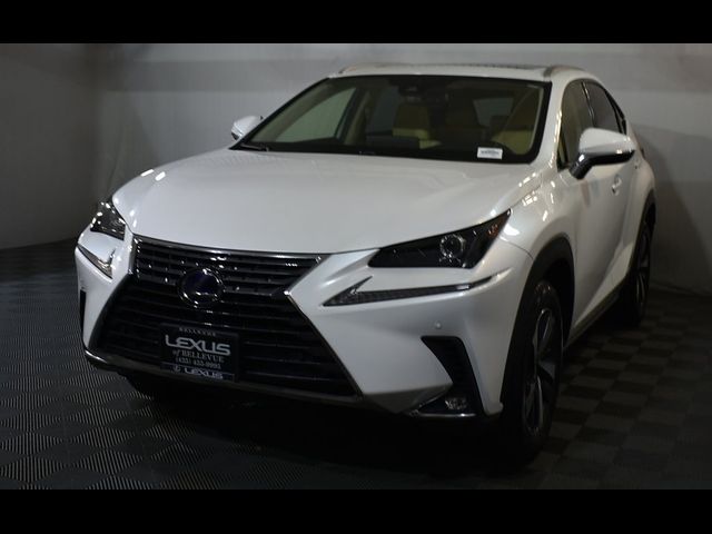 2021 Lexus NX 300h