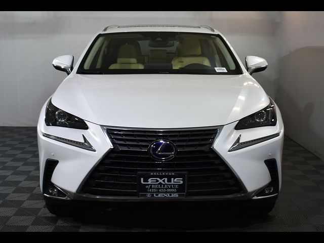 2021 Lexus NX 300h