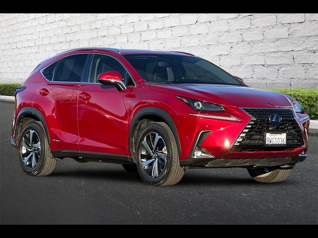 2021 Lexus NX 300h