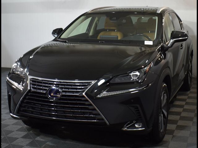 2021 Lexus NX 300h