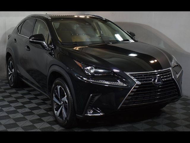 2021 Lexus NX 300h