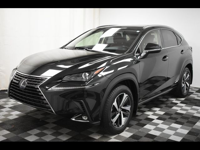 2021 Lexus NX 300h