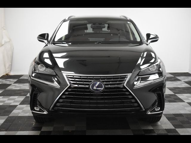 2021 Lexus NX 300h