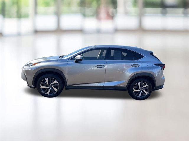 2021 Lexus NX 300h