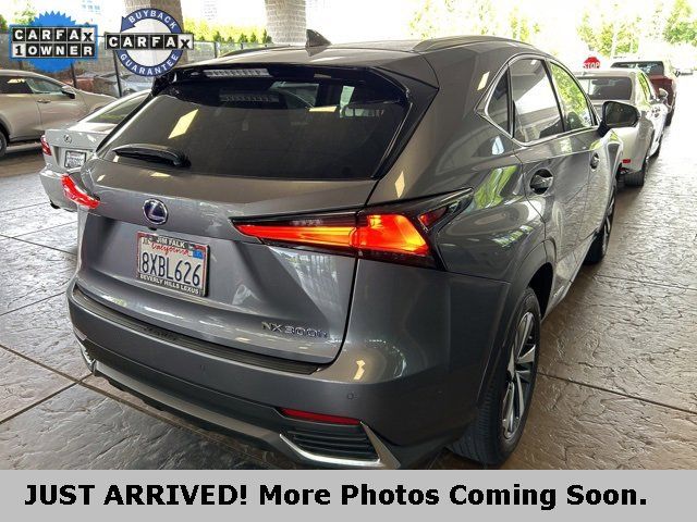 2021 Lexus NX 300h