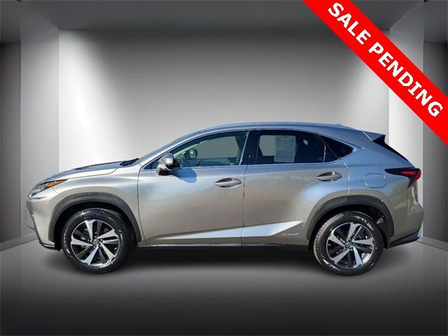 2021 Lexus NX 300h