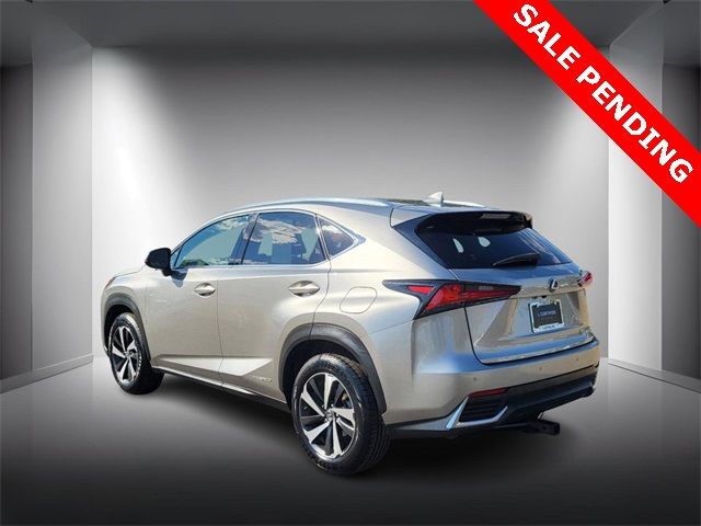 2021 Lexus NX 300h