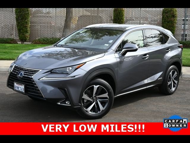 2021 Lexus NX 300h