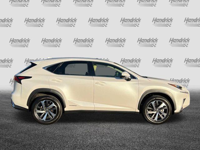 2021 Lexus NX 300h