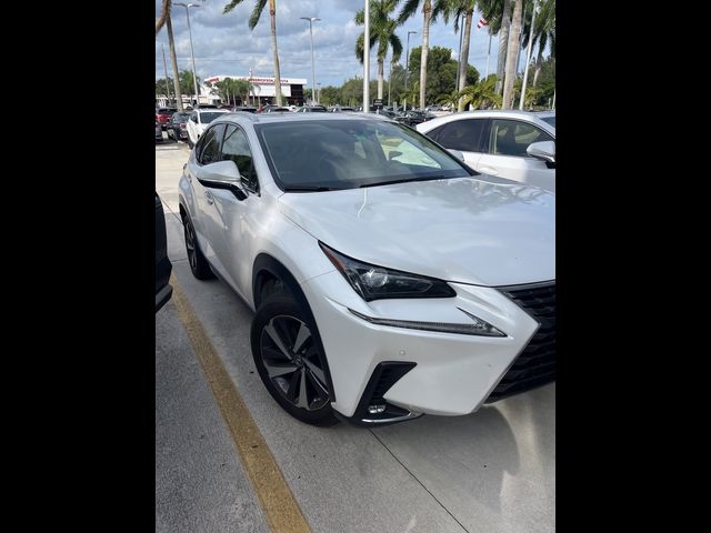 2021 Lexus NX 300h