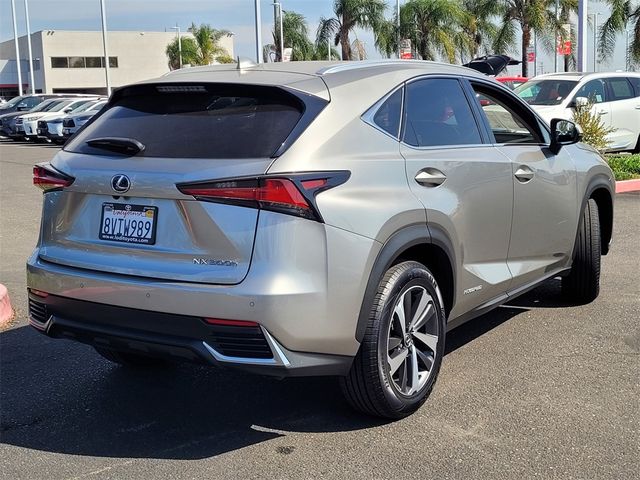 2021 Lexus NX 300h