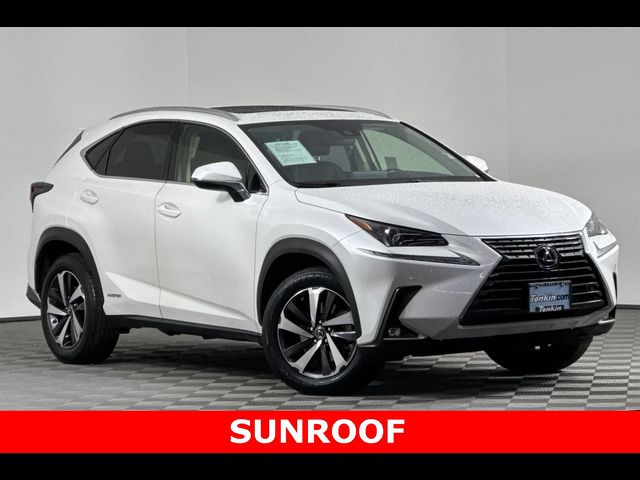 2021 Lexus NX 300h