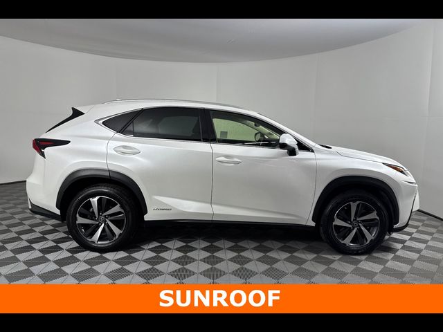 2021 Lexus NX 300h