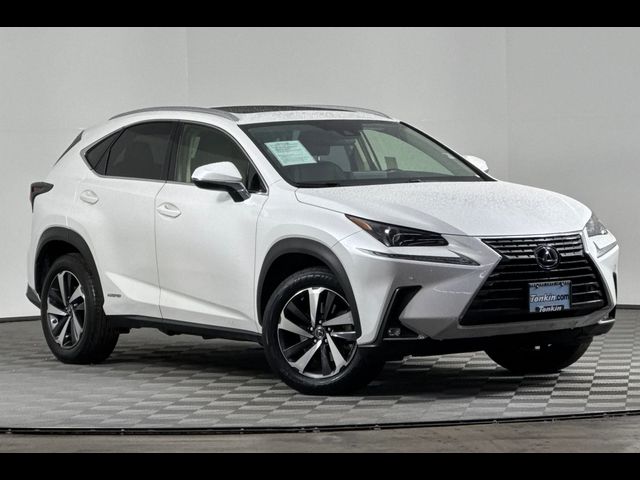 2021 Lexus NX 300h