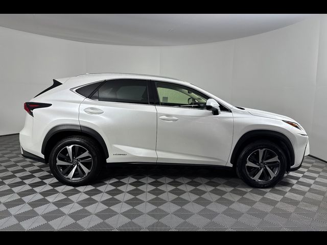 2021 Lexus NX 300h