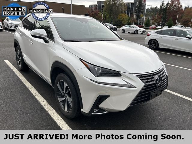 2021 Lexus NX 300h