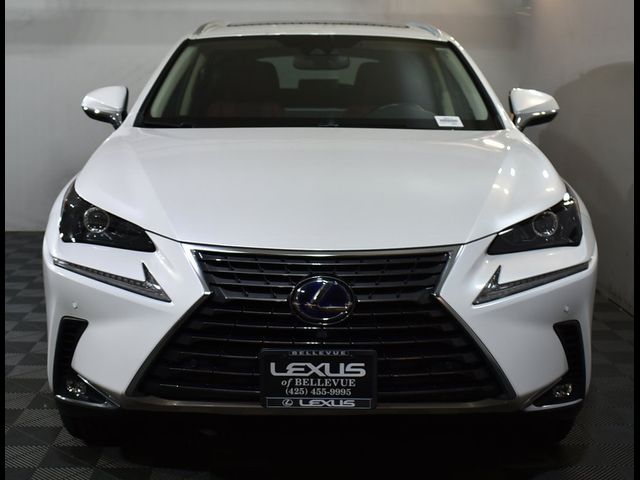 2021 Lexus NX 300h