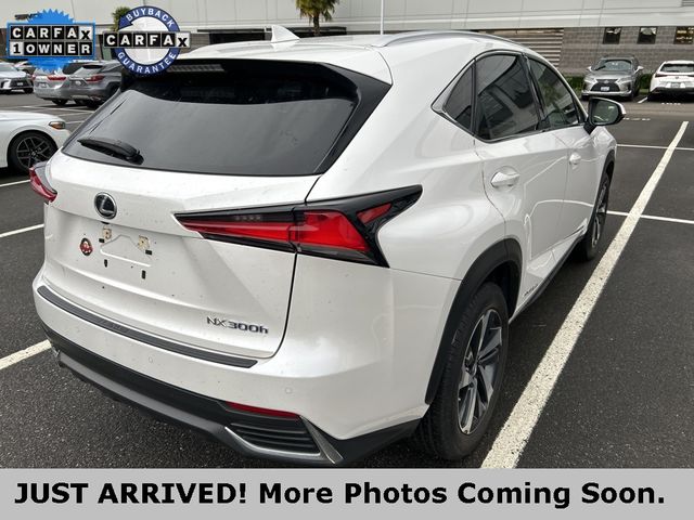 2021 Lexus NX 300h