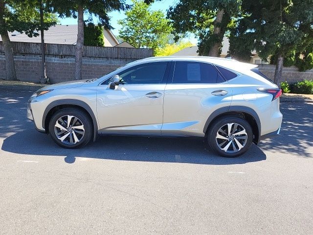 2021 Lexus NX 300h