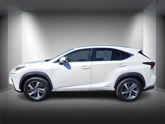 2021 Lexus NX 300h