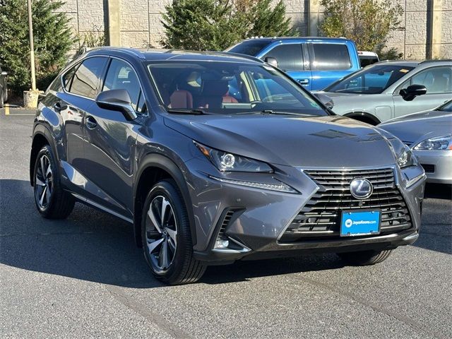 2021 Lexus NX 300h