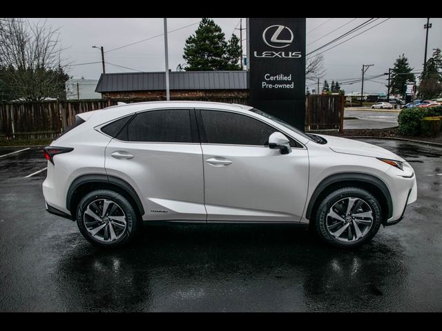 2021 Lexus NX 300h