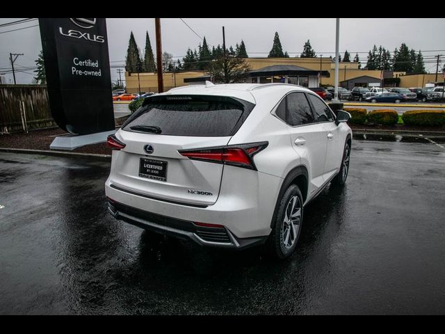 2021 Lexus NX 300h