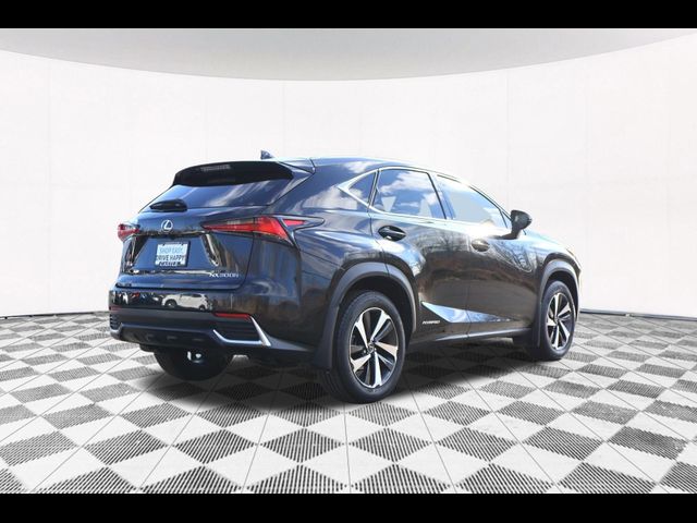 2021 Lexus NX 300h