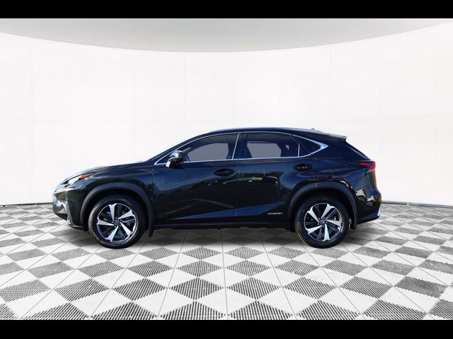 2021 Lexus NX 300h