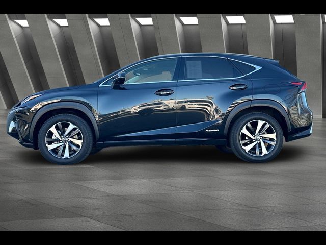 2021 Lexus NX 300h