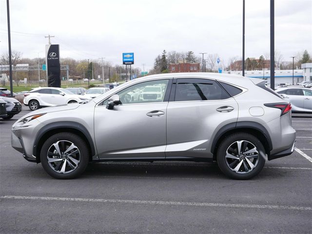 2021 Lexus NX 300h