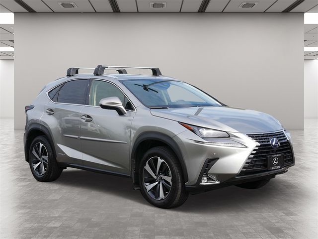 2021 Lexus NX 300h