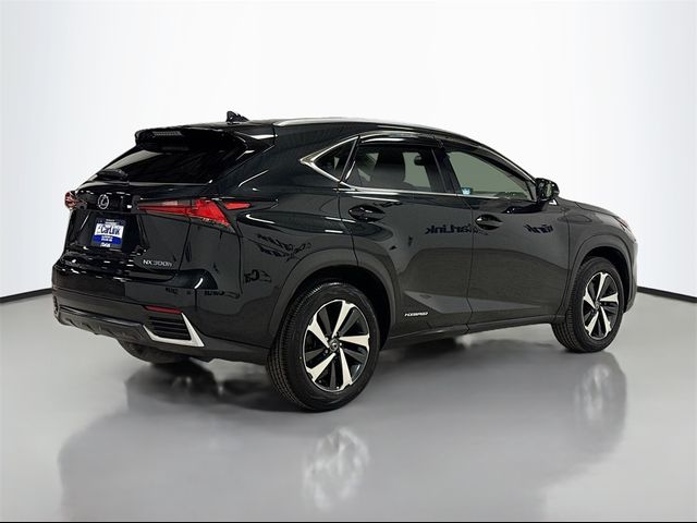 2021 Lexus NX 300h