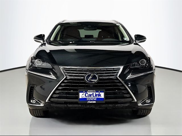 2021 Lexus NX 300h