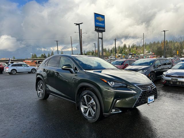 2021 Lexus NX 300h