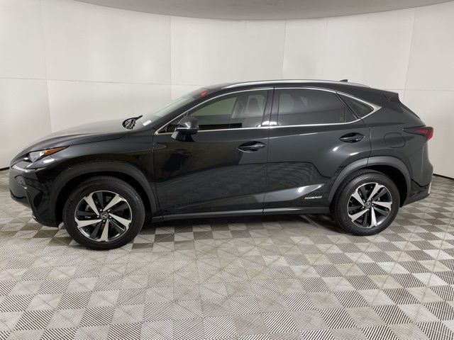 2021 Lexus NX 300h