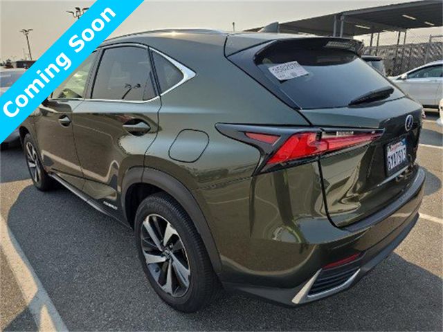 2021 Lexus NX 300h