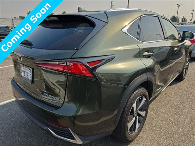 2021 Lexus NX 300h