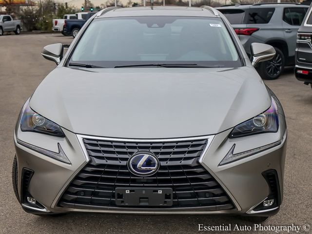 2021 Lexus NX 300h