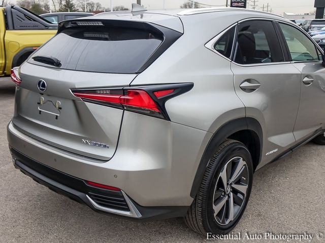 2021 Lexus NX 300h