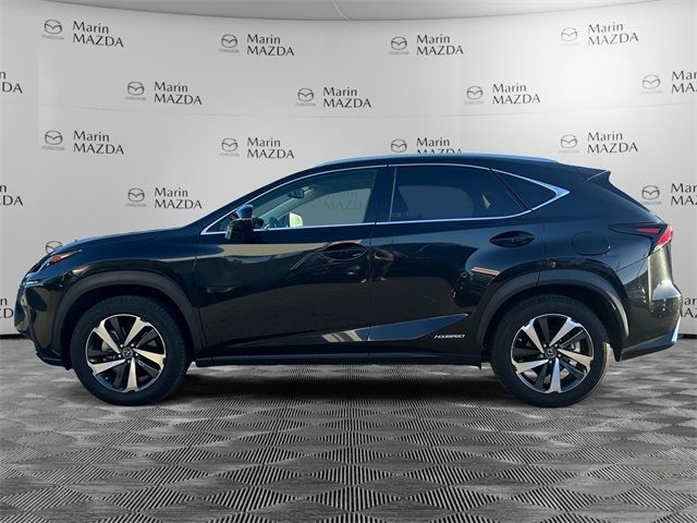 2021 Lexus NX 300h