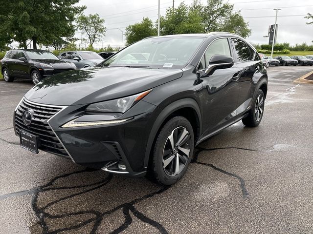 2021 Lexus NX 300h